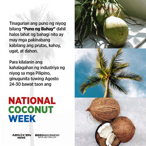 ampol ng niyog|Ano ang mga pakinabang ng paggamit ng gadgad na niyog sa.